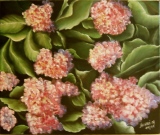 hortensia - huile